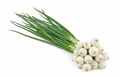 Fresh Spring Onion (Hari Pyaz) – Farm Fresh (200g)