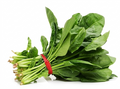 Fresh Spinach (Palak) – Farm Fresh & Naturally Healthy (500g)