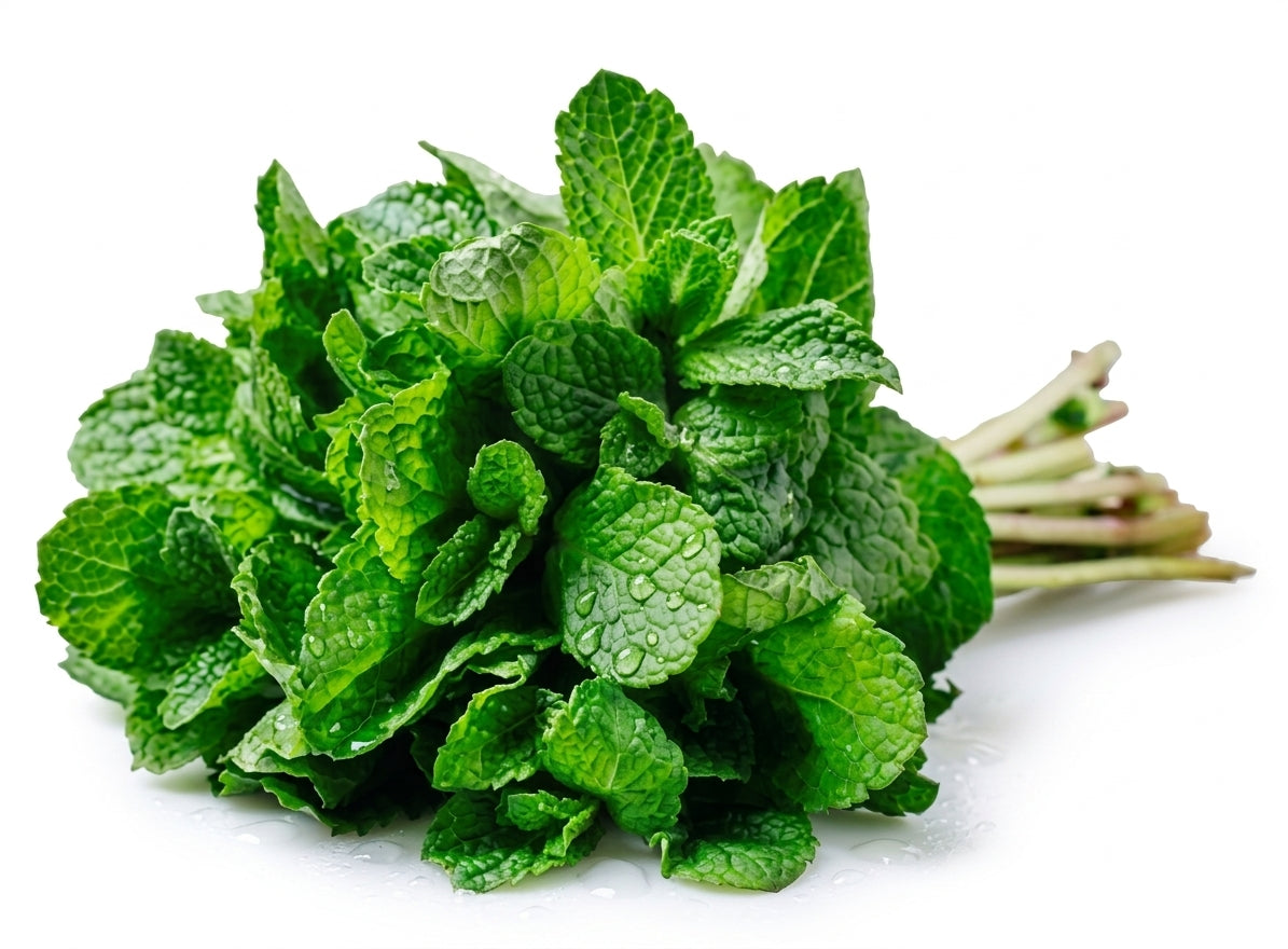 Fresh Mint Bunch (Podina) – Farm Fresh & Aromatic
