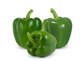 Fresh Capsicum (Shimla Mirch) – Farm Fresh (250g)