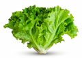 Fresh Lettuce Leaves – Crisp, Clean &amp; Healthy (200g)