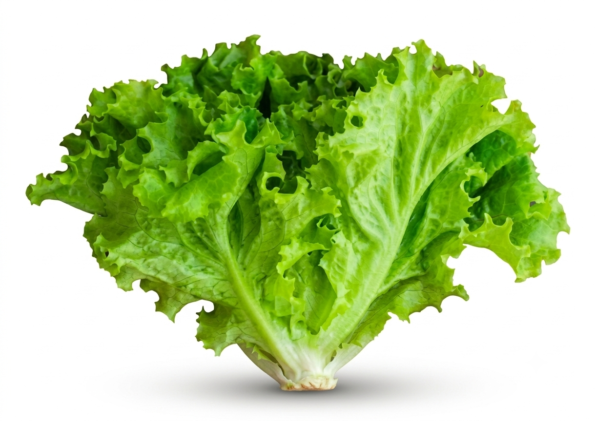 Fresh Lettuce Leaves – Crisp, Clean &amp; Healthy (200g)