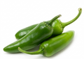 Fresh Large Green Chili (Hari Mirch Bari) – Farm Fresh (200g)
