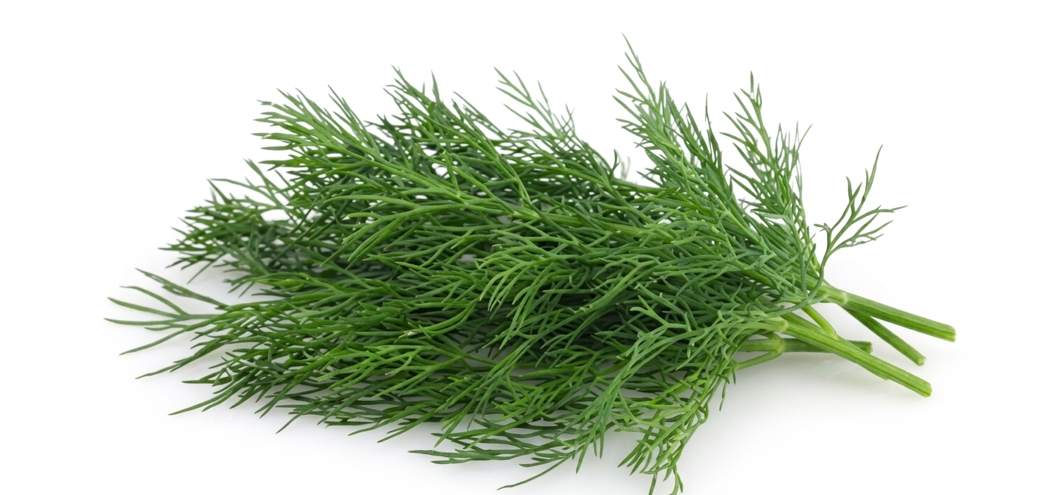 Fresh Soya Leaves Bunch (Soya Saag) – Farm Fresh