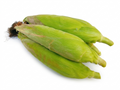 Fresh Corn (Bhutta) – Premium Quality (500g)